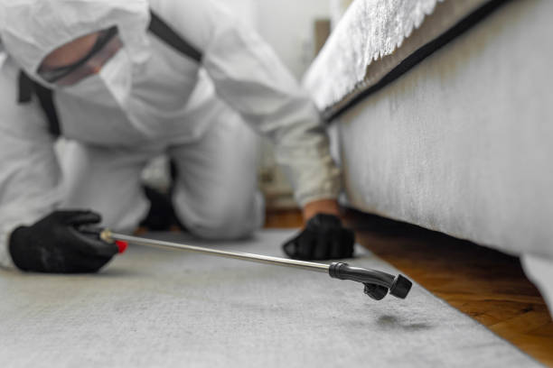 Professional Pest Control technician working in Greene County County, IL